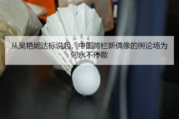 cong-wu-yan-ni-da-biao-shuo-qi-zhong-guo-kua-lan-xin-ou-xiang-de-yu-lun-chang-wei-he-yong-bu-ting-xie-2-857.jpg